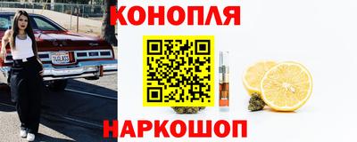 скорость Кингисепп