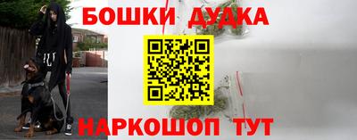 индика Кимры