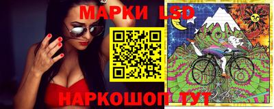 скорость Кингисепп