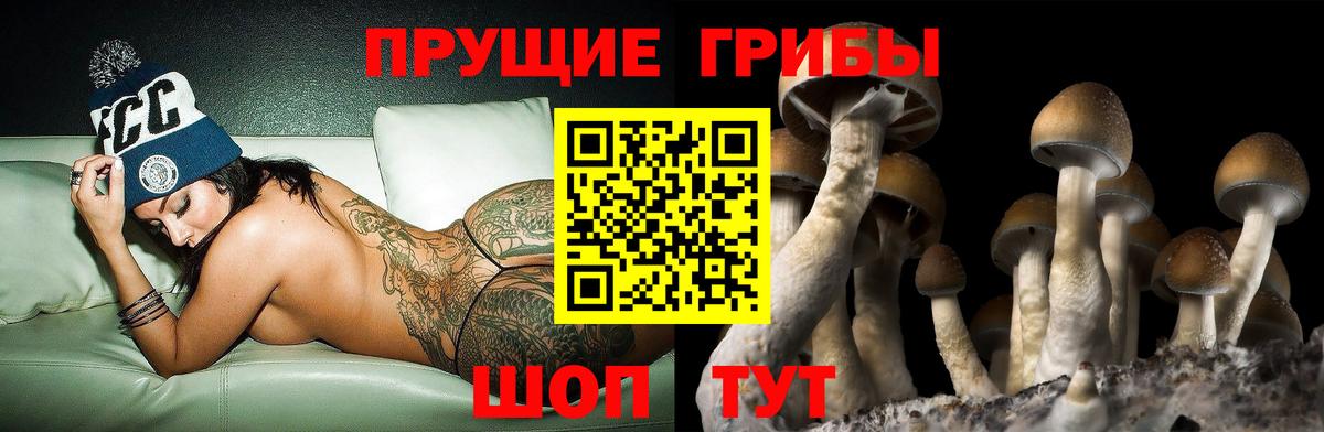 Биробиджан  Псилоцибиновые грибы Magic Shrooms  Галлюциногенные грибы мухоморы  Вход с VPN 